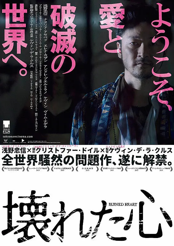 杀手情歌封面图