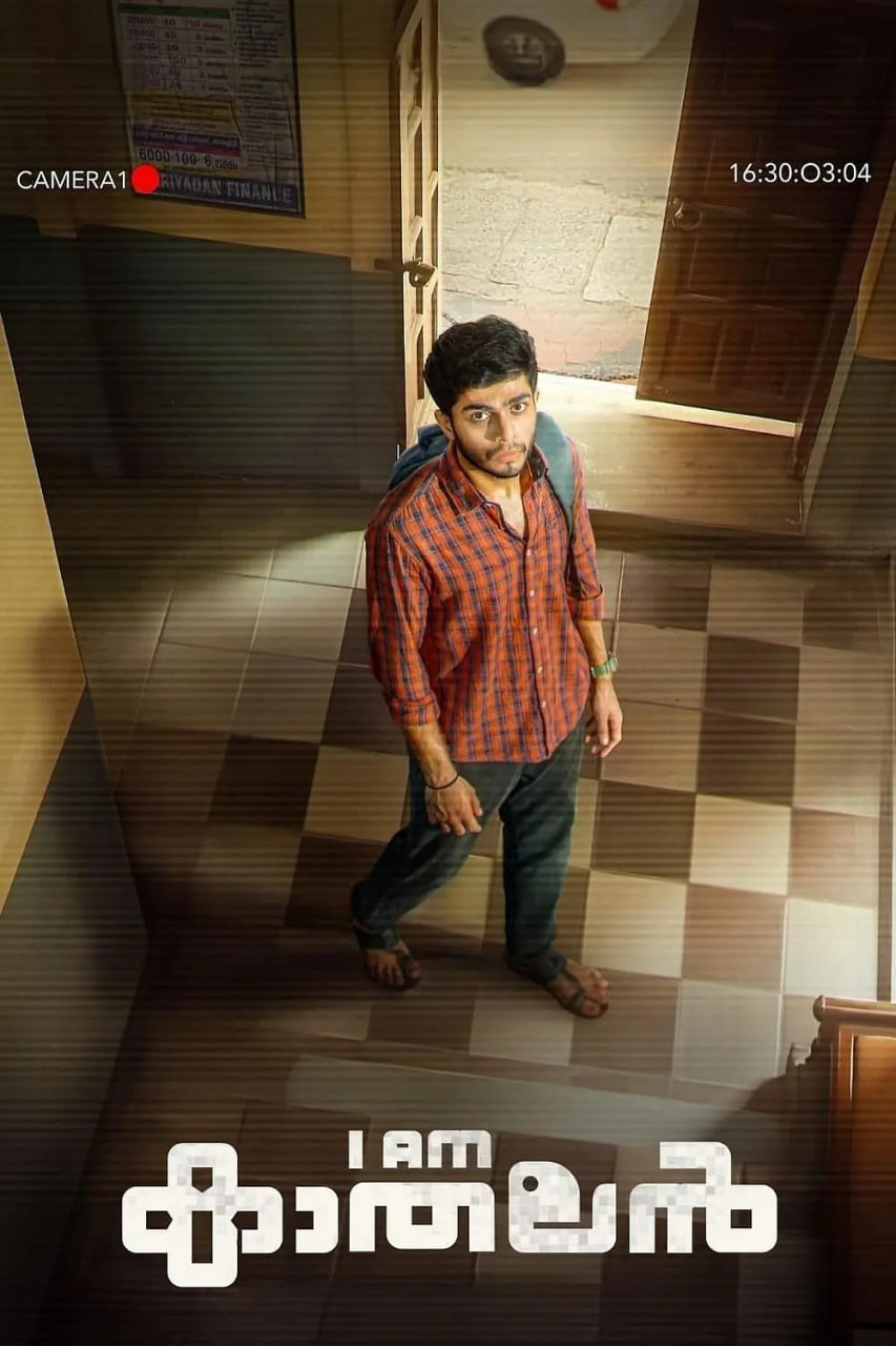 多情男孩封面图